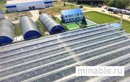 Стоимость готового бизнеса