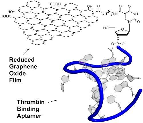 Графен связал ДНК в биосенсорах тромбина