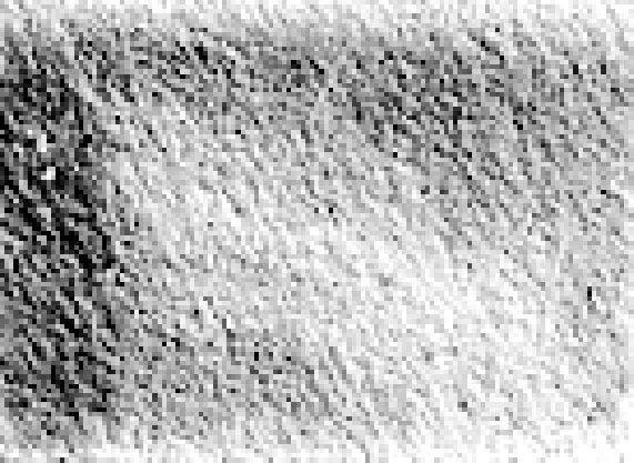 ПЛАЗМЕННЫЕ ТЕХНОЛОГИИ В АВТОСЕРВИСЕ