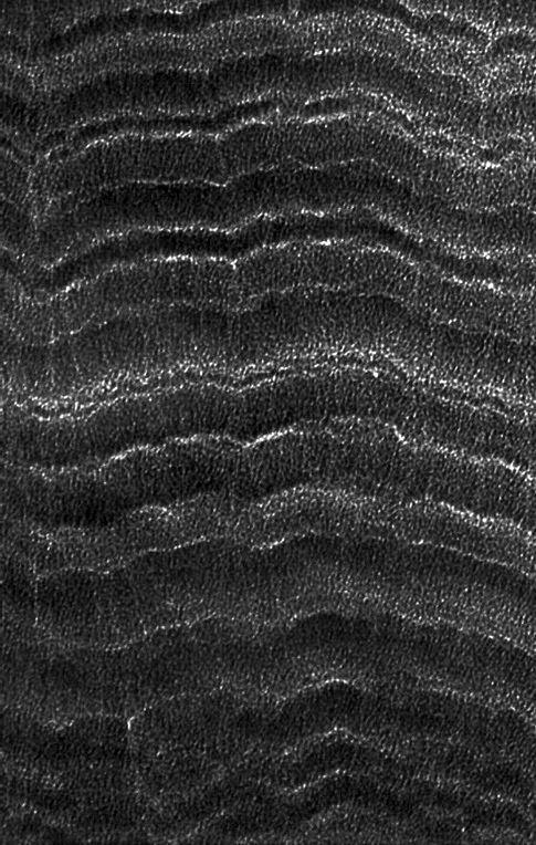 Алмазоподобные углеродные покрытия (DLC): варианты и применение