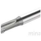 Винторез Prototyp Prototex ® Eco Plus от компании Walter