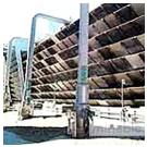 Противоокалинное средство S-14 Bio