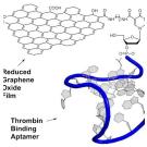 Графен связал ДНК в биосенсорах тромбина