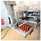 Александр Новоселов (ABB): Для многих российских компаний промышленный робот не является приоритетной покупкой