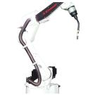 От первого робота до наших дне