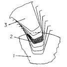 Зубофрезерование методом обката без подачи СО