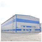 Стратегия развития предприятия: локализация производства и импортозамещение